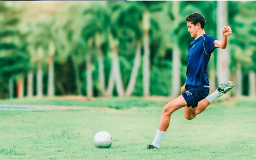 Player Striking The Ball Young soccer player in a navy kit striking the ball on a grass field lined with palm trees.