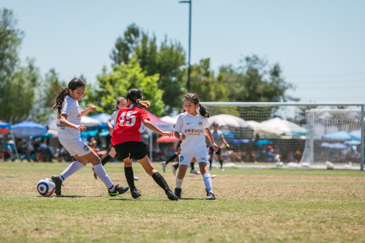 Trace Toolkit: Keeping Possession