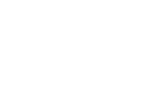 Minnesota Youth Soccer logo