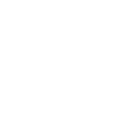 Basketball Partners logo