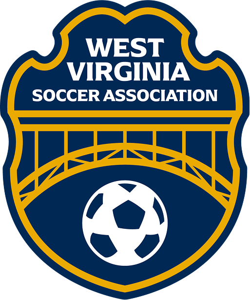 WVSA logo